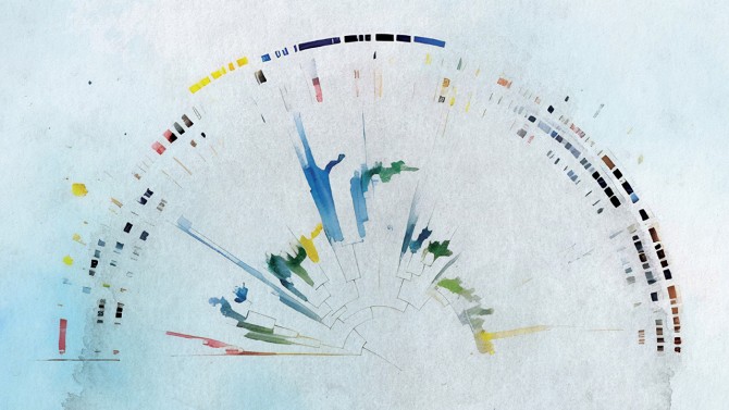 An illustrated version of a similarity tree for one component of the transposon, which gives researchers clues to the component's function.