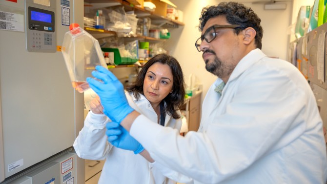 Ekta Khurana, left, associate professor of systems and computational biomedicine at Weill Cornell Medicine, had been making advances in early prostate cancer detection. Khurana is shown here with Udayan Bhattacharya, a researcher in Khurana’s lab.