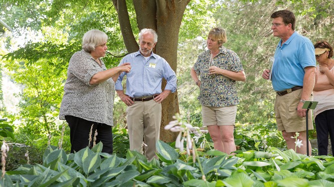 People talking in front of a tree