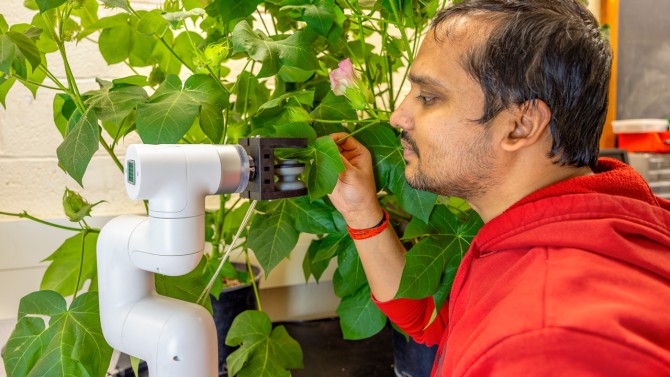 Former postdoctoral researcher Anand Mishra with a robotic gripper that gently injects living plants with sensors.