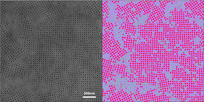 Scanning electron microscopy image (left) shows the surface of a porous asymmetric UF membrane created at Cornell by mixing chemically distinct block copolymer micelles. Machine-learning segmentation (right) identified patterns formed by different micelle types and chemistries, revealing how the approach could lead to UF membranes that sort by chemical affinity.