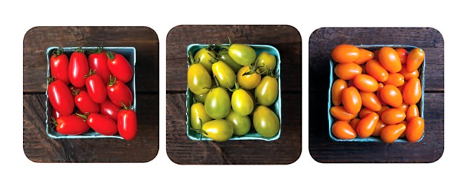 Green Nebula, Stargazer and Cosmic Pink tomatoes