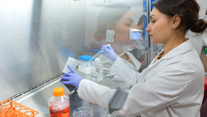 Bacchi works under the hood on pancreatic cancer research at Weill Cornell Medical College.