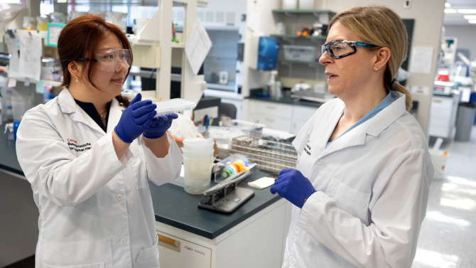 Research technician Xiyu Wang, MPH '24, left, and Laura Goodman, Ph.D. '07, assistant professor, work in Goodman's lab at the Baker Institute for Animal Health.