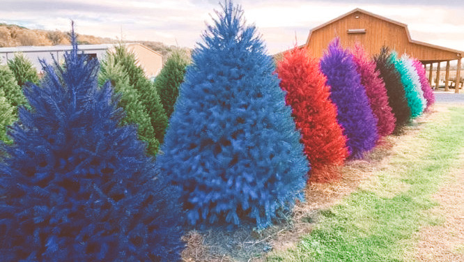 Spray-painted Christmas trees