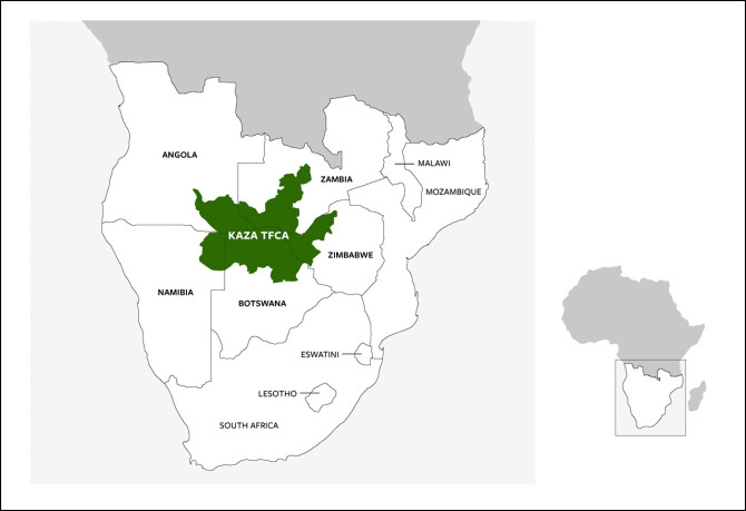 Removing southern African fences may help wildlife, boost economy