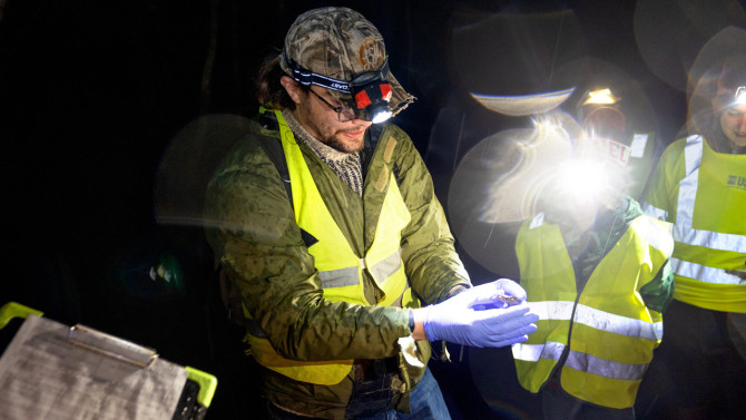 Bredin shows a group of TCAMP volunteers a spotted salamander during a patrol March 11 on Sapsucker Woods Road. Spotted salamanders can live 16-20 years and will make the journey from their upland burrows to temporary pools of water - called vernal pools - every few years to breed.