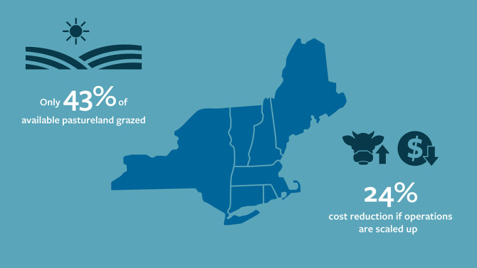 Information graphic showing map of New York and New Englands. Graphic says only 43% of available grassland is being grazed in this area. And it says there would be a 24% cost reduction if operations were scaled up