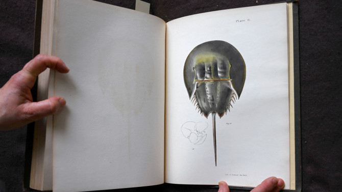 Included in the exhibit 