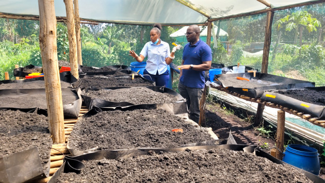 Hope Ochieng and Charles Midega in the drying greenhouse at KIYA.