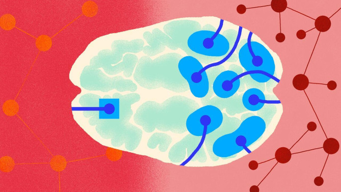 Illustration of diodes attached to a brain