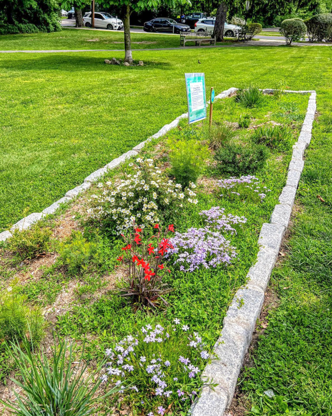 A new butterfly garden at Woodland Park in Pelham, New York was installed by Cornell Climate Steward Allison Anderson with the Junior League of Pelham and many others.
