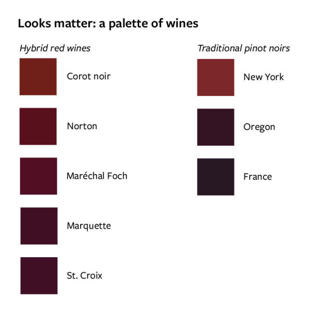 Graphic showing that the color of wine matters to consumers
