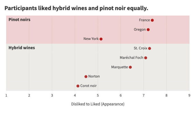 Wine Lovers Embrace Spectrum of Wine Colors