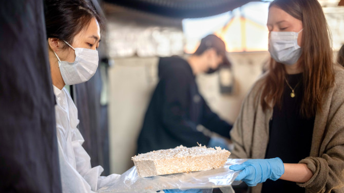 Katie Lee and Sophia Zita, both M.Arch.'27, examine a newly cultivated tile in Home:Grown, a seminar that experimented with mycelium-based composites.