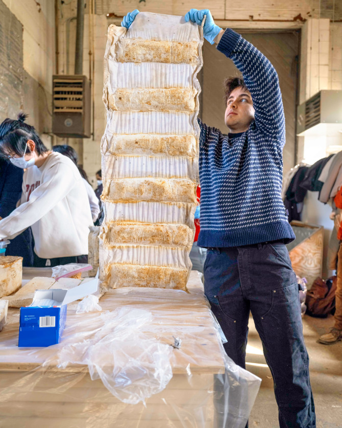 In Home:Grown, Marta Wisniewska's Spring 2026 seminar exploring bio-based building materials, Sionainn Rudek, M.R.P. '27, shows off an insulative curtain crafted from mycelium-based composites.