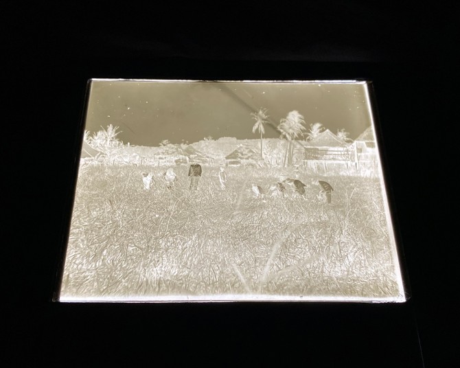 Glass plate negative of Filipino farmers during the American occupation, circa 1900