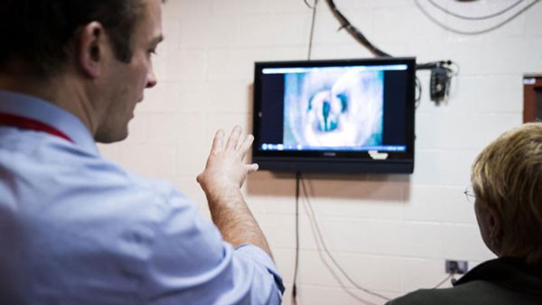 Dr. Jonathan Cheetham reviewing imaging on a screen in the Cornell Equine Hospital