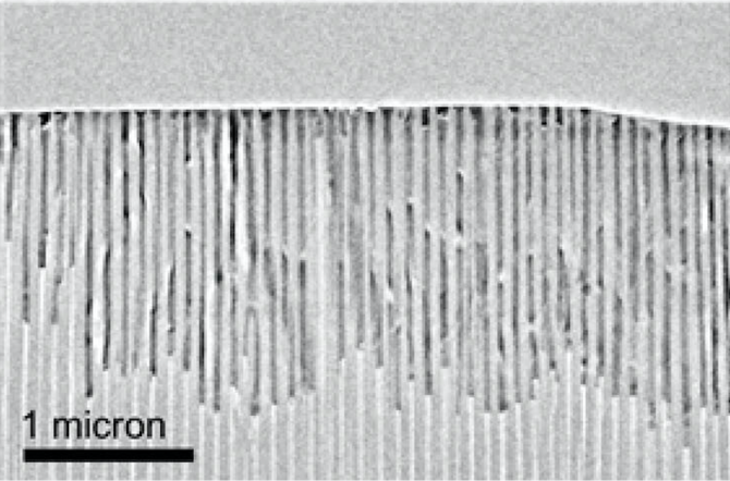 nanowires at the scale of 1 micron