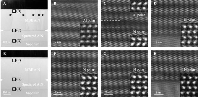 Cross-sectional microscopy images of molecular beam epitaxy-grown aluminum nitride on aluminum nitride templates