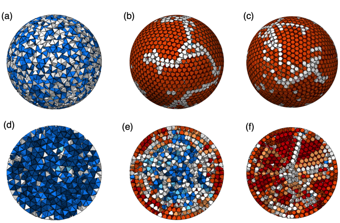 Simulations of 10,000 particles in spherical containers viewed from the outside, and as cross sections.