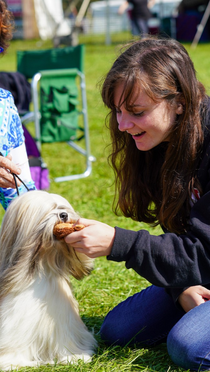 Veterinary student Alanna Horton greets a dog at the show