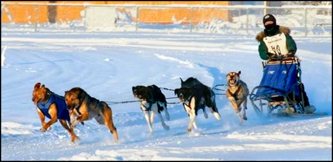 Heather Huson racing in an Alaska Dog Mushers Association Challenge Series