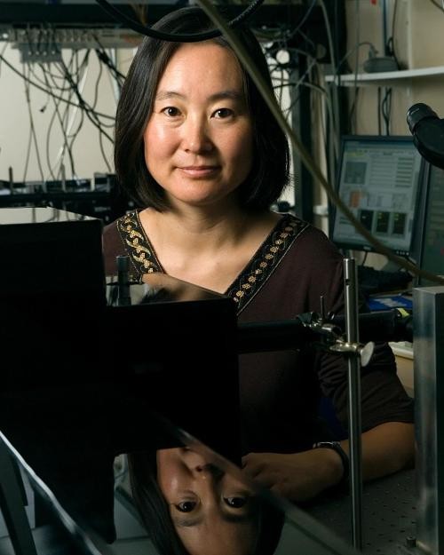 Physicist Michelle Wang named Biophysical Society Fellow Cornell