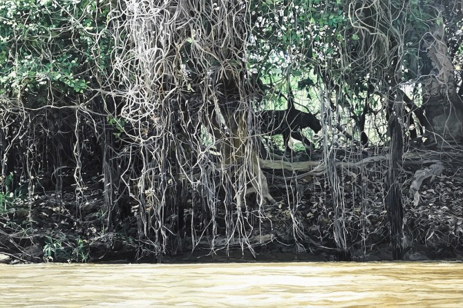 A jungle painting with a yellow river and a black shadowy cat