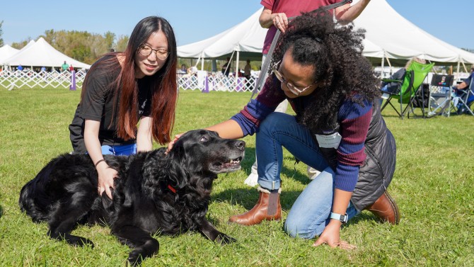 Veterinary students Vivian Shum and Leah Ramsaran petting a black Labrador on a grassy field at the dog show