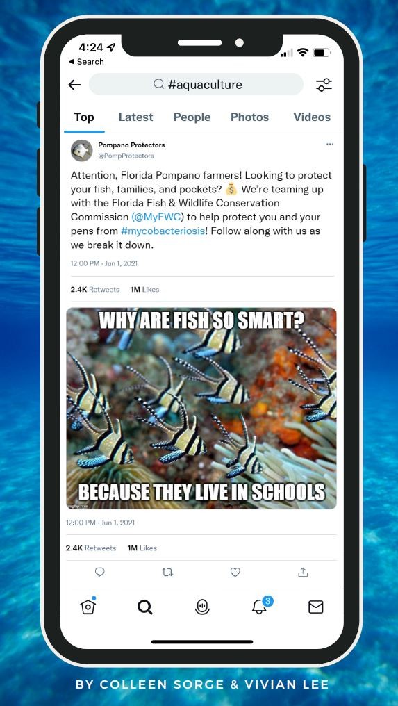 Mobile mockup of a Twitter post about aquaculture