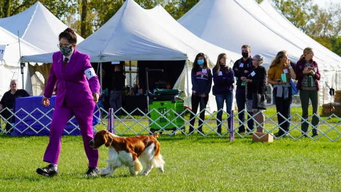A group of veterinary students observe a dog show exhibitor on the course