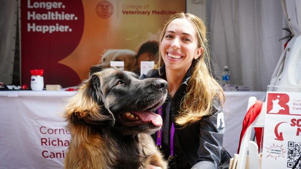 Aly Cohen kneeling next to a fluffy brown dog at Westminster