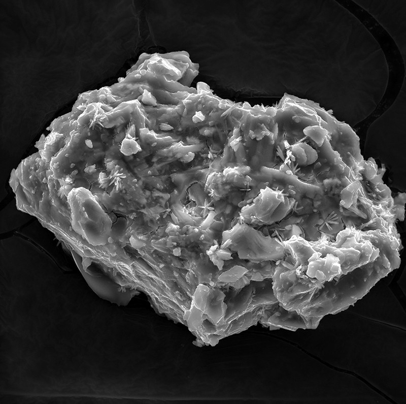 Cornell Uncovers Volcanic Ash Impact on Earth Systems | Mirage News