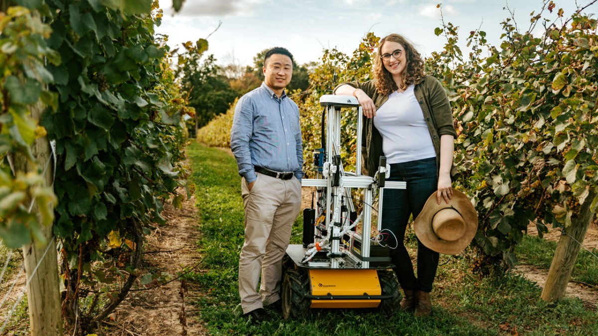 Bageri syg Konkret Autonomous robots to help modernize grape, wine industry | Cornell Chronicle