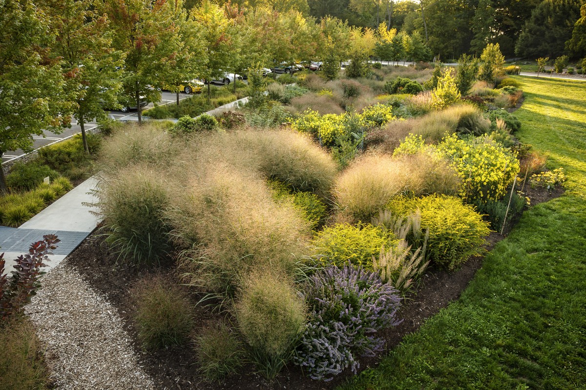 Growing forward: Cornell's unique living collections | Cornell Chronicle