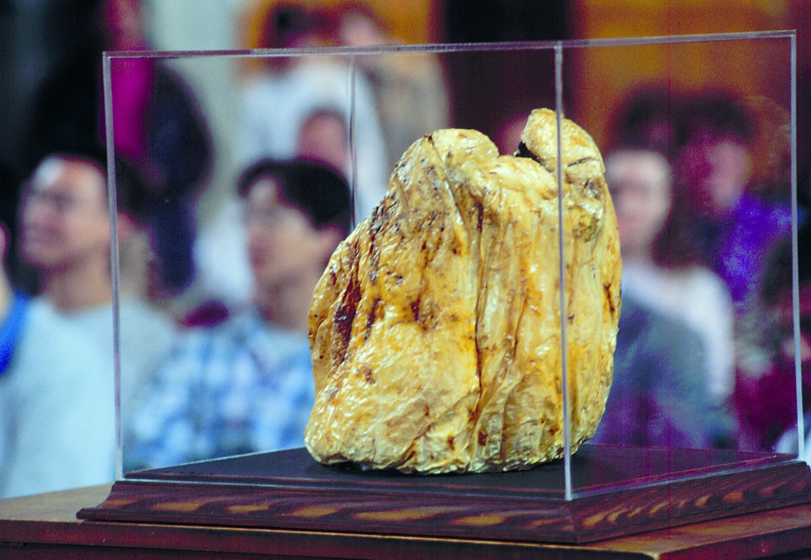 The Cornell pumpkin — ravaged by winter — sits in a display case in April 1998 in the Memorial Room, as a crowd listens to the Kingsbury Commission’s finding: “It is a pumpkin.”
