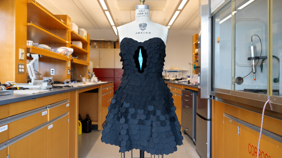Bird-of-paradise inspires darkest fabric ever made | Cornell Chronicle