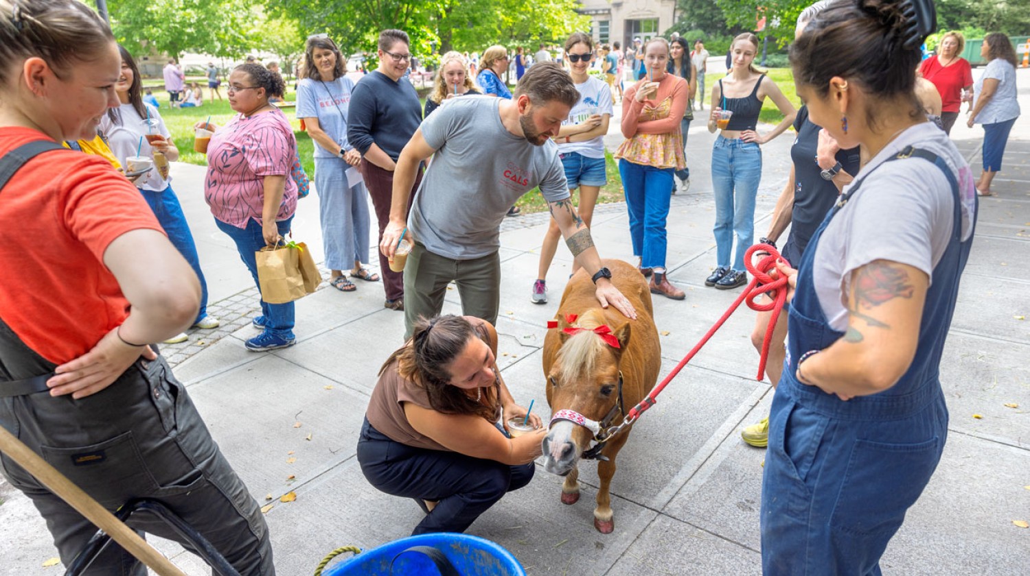 Visitors pose for photos with Minnie the miniature horse during Cornell Summer Wellbeing Adventure “Chillin’ on the Quad Party” July 30 on the Arts Quad.