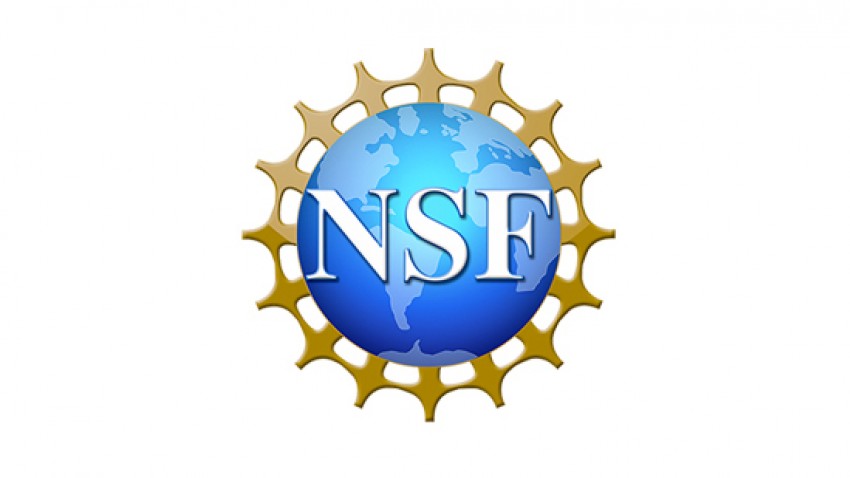 more about <span>Eleven professors win NSF early-career awards</span>
