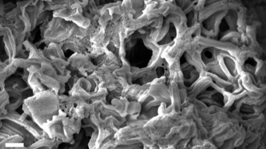 more about <span>Rocket-inspired reaction yields carbon with record surface area</span>
