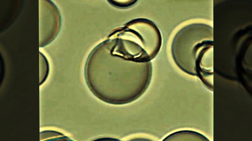 thin liquid film to an opaque emulsion