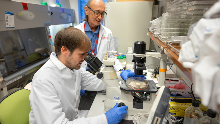 Research matters: How folate deficiency may alter genes to promote cancer