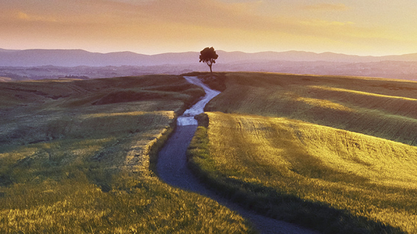 Book examines life purpose, from ancient wisdom to emerging science