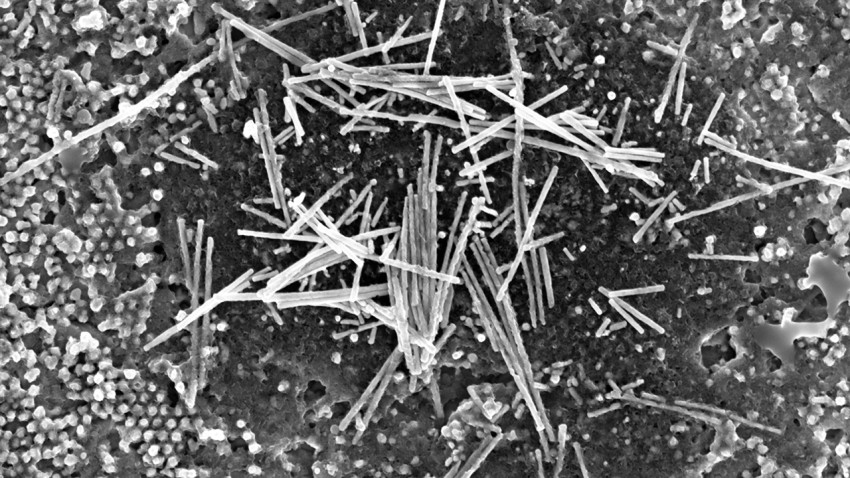 A scanning electron microscope image shows nanowires of niobium arsenide still attached to a bulk feedstock. 
