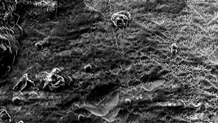 Microscopic view of the olivine surface, showing pits and channels where the rock has been dissolved, demonstrating how the bacteria help break down the mineral.
