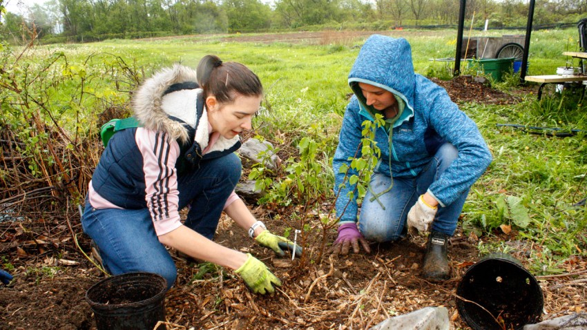 more about <span>Students of different faiths unite to plant trees, give back</span>
