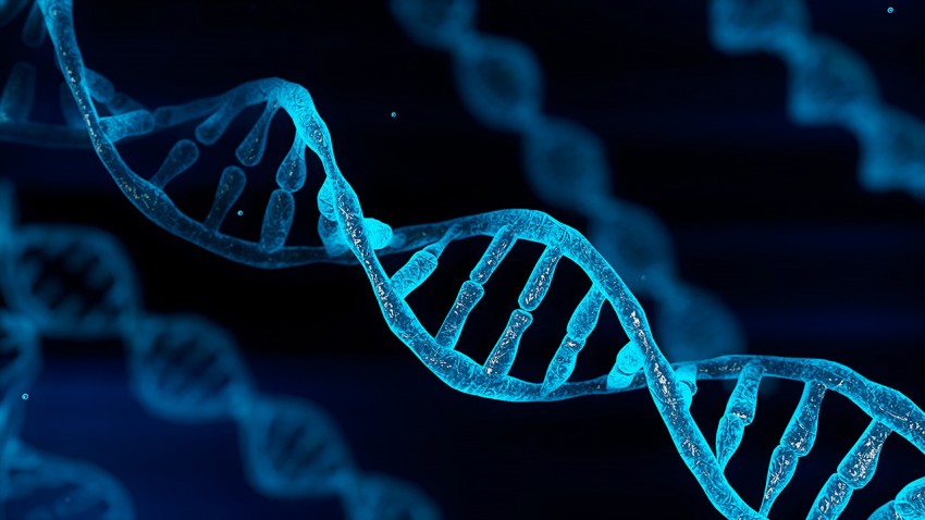 Study finds potential link between DNA markers and aging