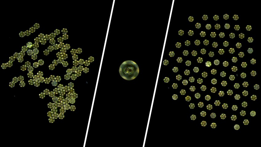 more about <span>‘Swarming’ microrobots display versatile movement</span>
