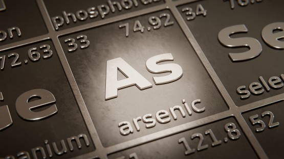 Humanized mice reveal arsenic may raise diabetes risk only for males - Vimarsana News